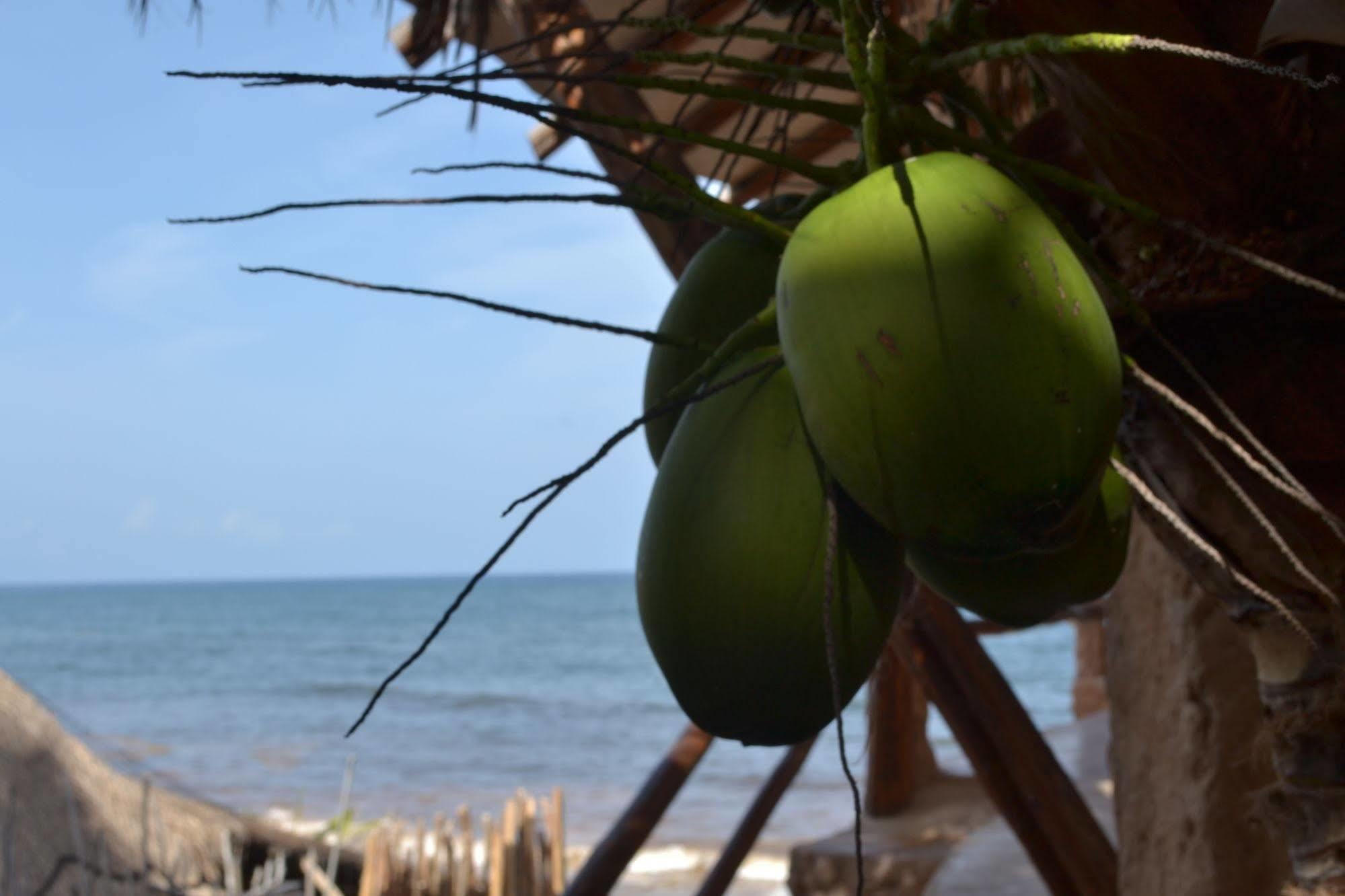 La Posada Del Sol Boutique Hotel Tulum Pueblo Buitenkant foto